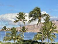Kihei condo rental: Maui Sunset - 1BR Condo Ocean View #409B